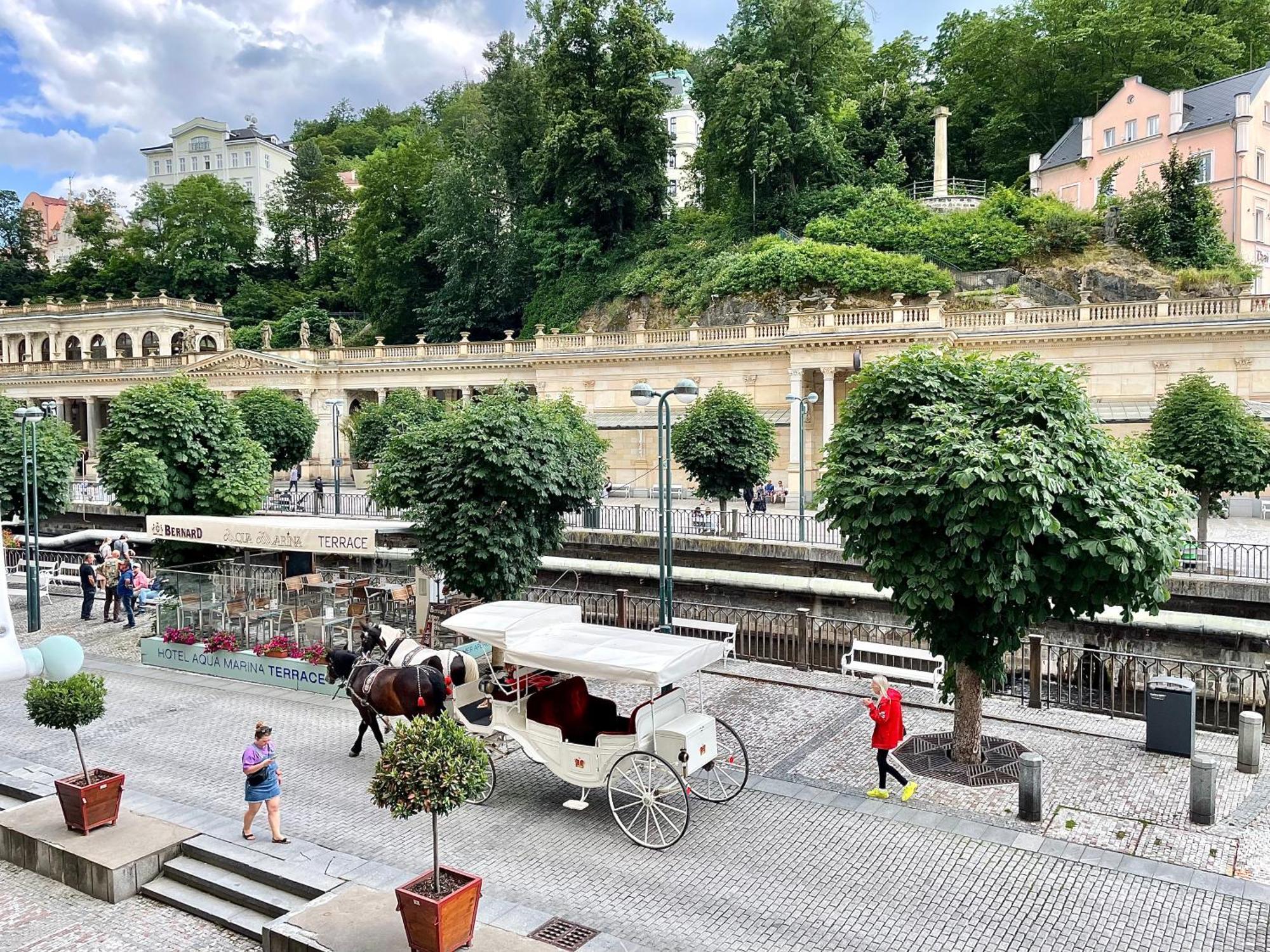 Carlsbad Grand Studio Michal Karlovy Vary Luaran gambar